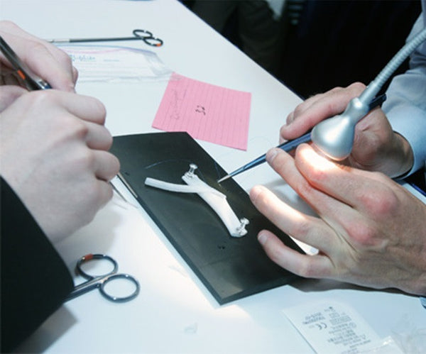 Vascular Anastomosis Model