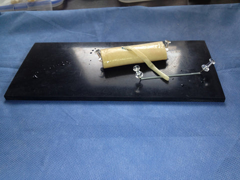 Cardiac Anastomosis Model