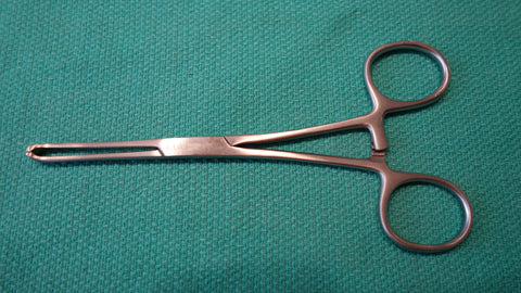 Allis Tissue Forceps 6 "