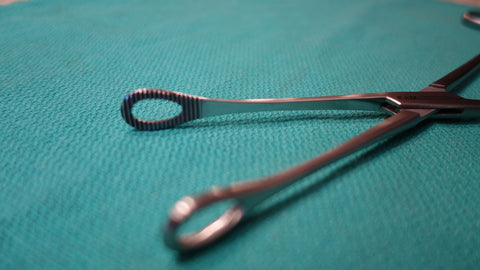 Foerster Sponge Forceps 9-1/2 " Serrated Straight